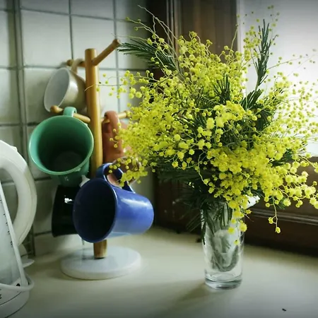 Felicity 아파트 *