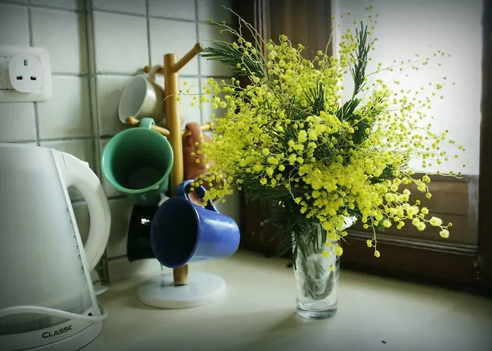 Felicity Apartament *